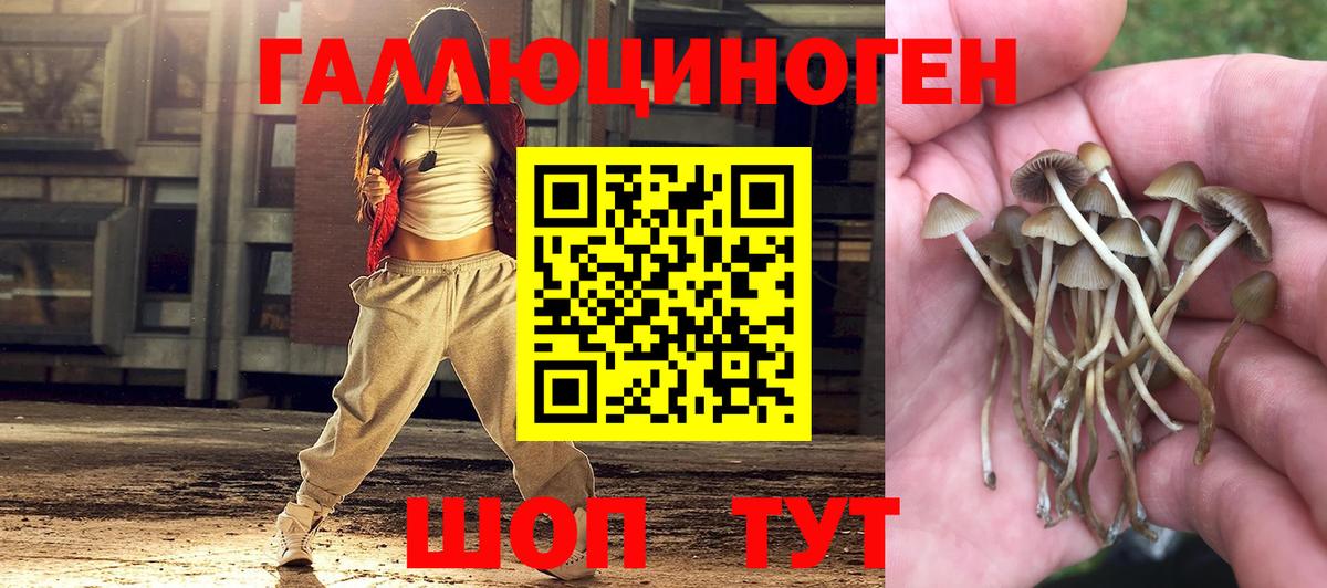 Псилоцибиновые грибы ЛСД Дербент
