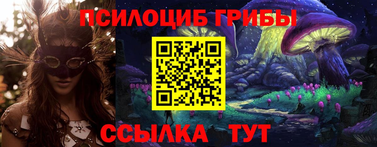 Псилоцибиновые грибы MAGIC MUSHROOMS  Вход с VPN  Дербент  Галлюциногенные грибы мухоморы 